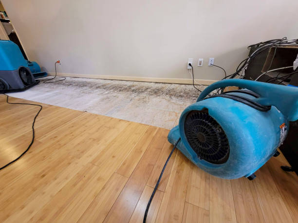 Professional Water Removal technician working in Moore, OK